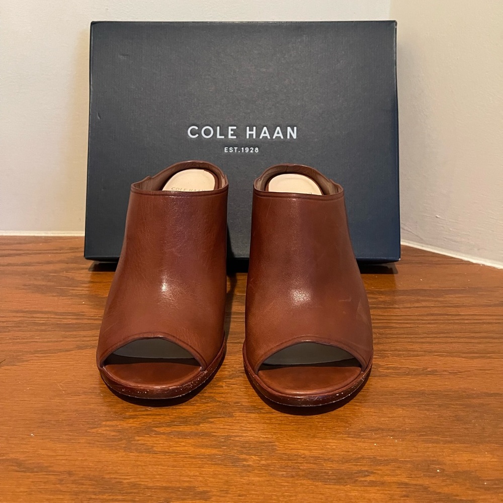 Cole Haan Hollis Sandal in Sequoia.